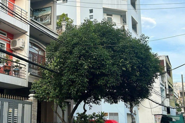Bán biệt thự 182-182A Lê Thị Bạch Cát - DT 8x20m - 3 tấm - Giá 35,5 tỷ!