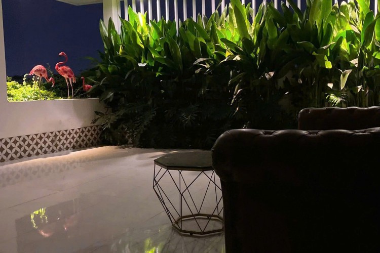 Bán CHDV 276/31/12A Thống Nhất - DT 8x29m - 5 tấm - HĐT 160 tr/thg - Giá 37 tỷ!