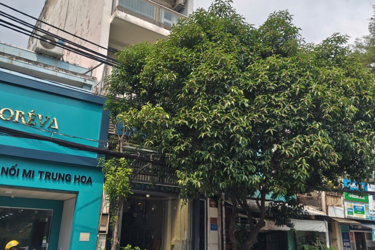 Bán nhà 143 Thành Mỹ - DT 4x24m - 6 tấm - Giá 21 tỷ!