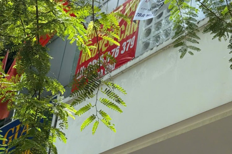 Bán nhà MTKD 113-115 Lê Thánh Tôn - DT 8,5x18m - Hai căn 2 kết cấu 7 tầng + 4 tầng - Giá 175 tỷ!